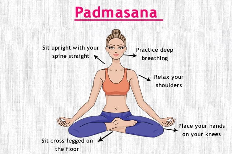 Vector cartoon of woman meditating with closed eyes in Padmasana pose - a  Royalty Free Stock Photo from Photocase